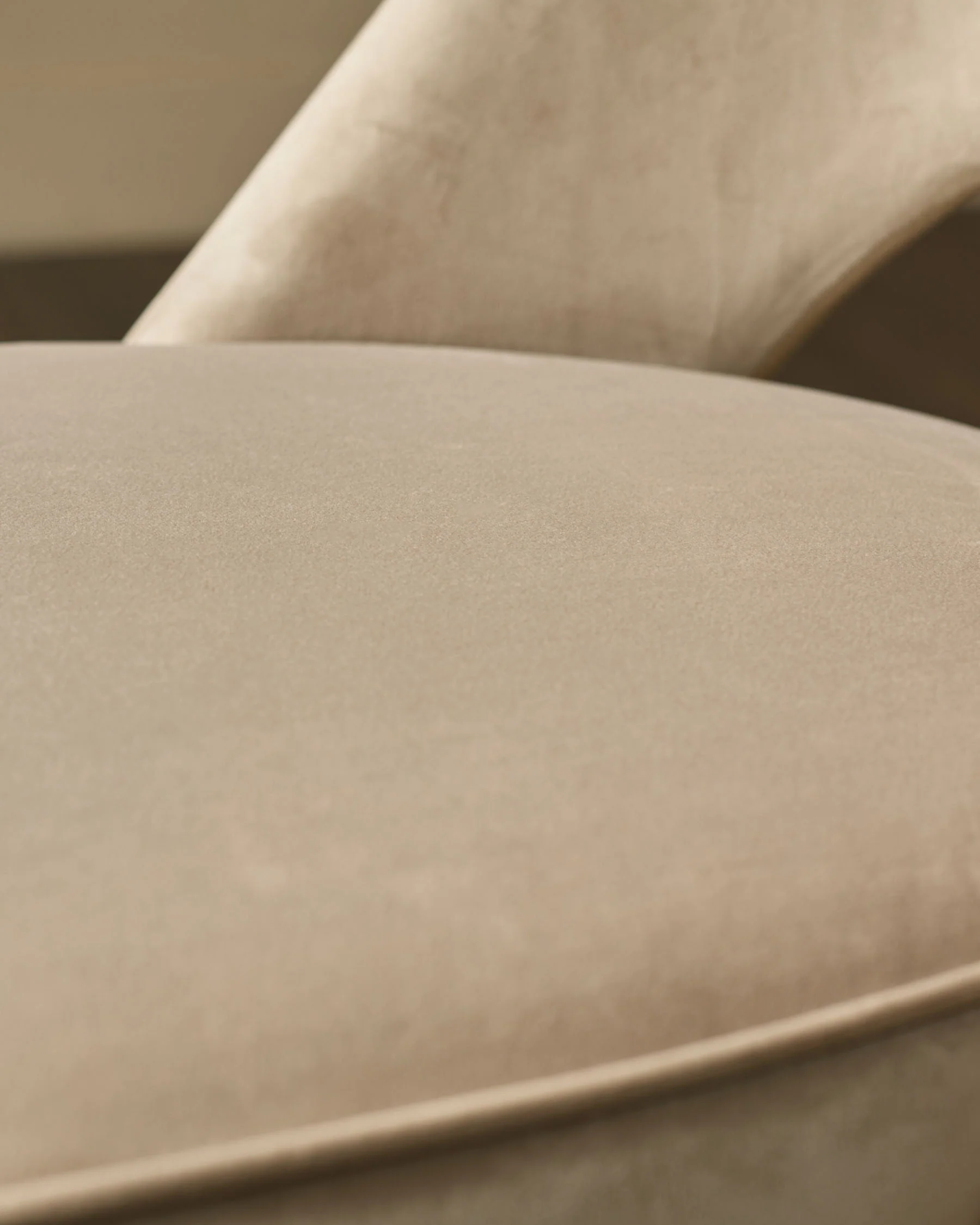 Clover Champagne Velvet Dining Chair With Stainless Steel Caps - Image 10