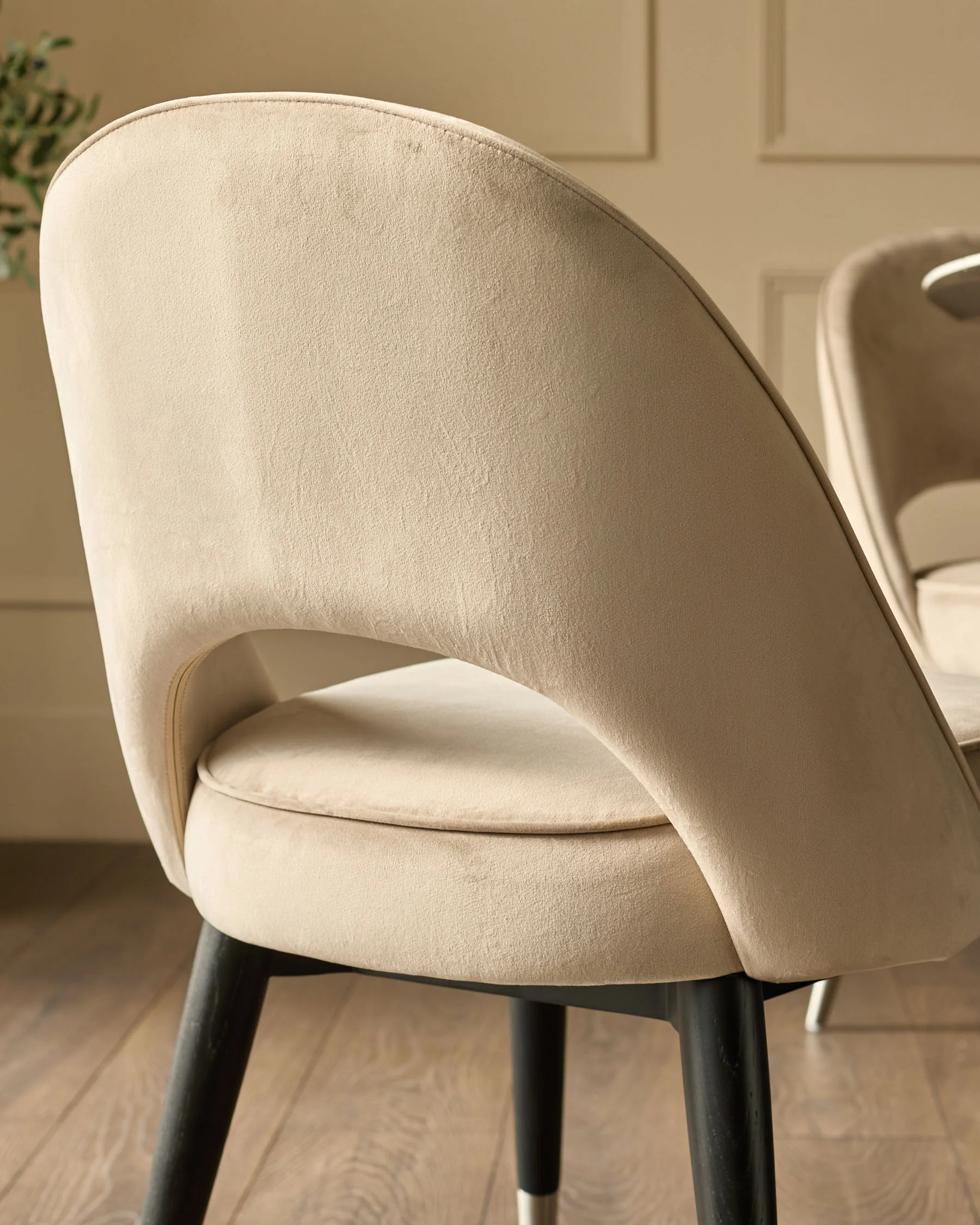 Clover Champagne Velvet Dining Chair With Stainless Steel Caps - Image 5